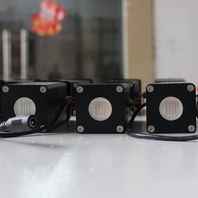 Lampu senter UV portabel AC85-265V untuk aplikasi pengujian tinta UV dan varnis laboratorium