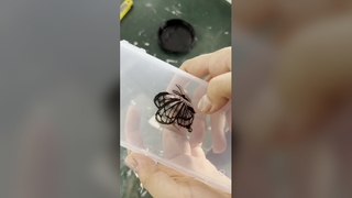 Sistem Pengeringan Tinta LED UV Pengeringan Tinta Cepat